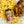 Chicken & Chips Rub/Seasoning